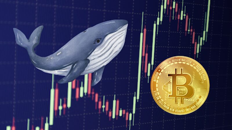 Whale-Led Bitcoin Surge Breaks $44K Barrier, Περισσότερα κέρδη μπροστά?