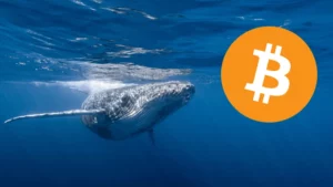 Αρχαία φάλαινα Bitcoin κινείται $60M μετά από 12 χρόνια!