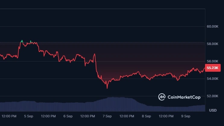 Η-αξία-του-Bitcoin-έπεσε-στο-χαμηλότερο-επίπεδο-των-$52,850